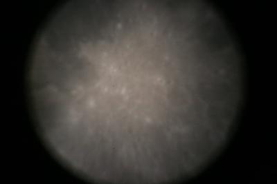 img_7353.jpg